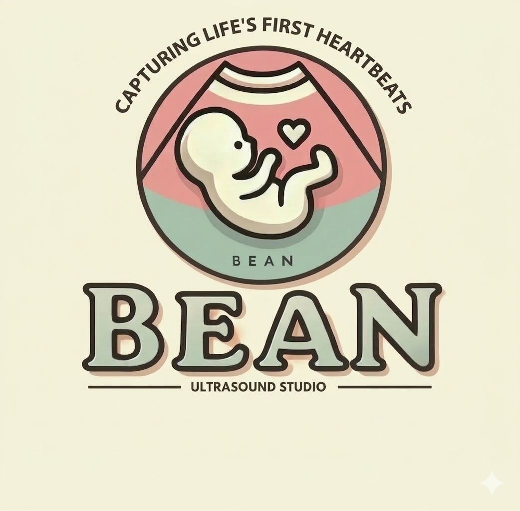 BEAN Ultrasound Studio